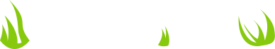 Preschool in Anna Nagar